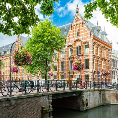 Olanda Amsterdam Tour Pullman